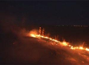 За несколько часов можно убить 10 лет жизни