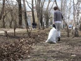 Черемушкинцам стоит подготовиться к двухмесячнику по наведению порядка