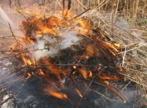 Пожарные напомнили саяногорским дачникам правила безопасности
