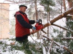 В Черемушках ликвидируют последствия сильного ветра