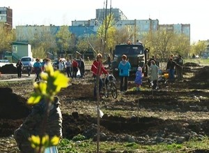 В парке активного отдыха высадили клены и каштаны