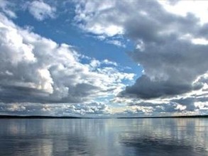 От расчлененного в Саяногорске трупа нашли голову