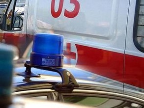 В Хакасии сбили двух человек и лошадь