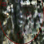 Саяногорск Инфо - Присоединённое изображение