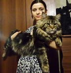 Саяногорск Инфо - Присоединённое изображение