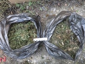 В Хакасии уничтожили 26 килограммов наркотиков