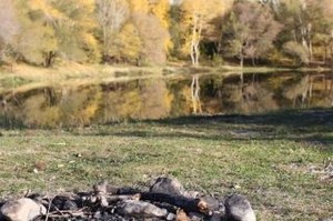 Берег Енисея стал чище