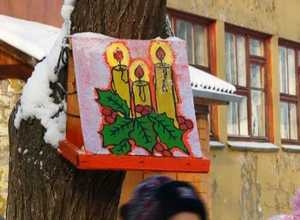 О птицах зимой позаботятся «Васильки» из детсада «Дюймовочка»