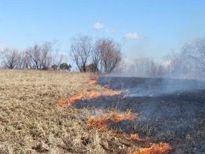 В Хакасии открыт сезон пала сухой травы
