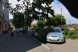 На иномарки в центре Абакана рухнул тополь