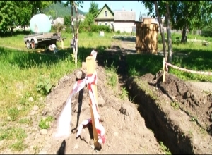 В Майна зазеленело яблоко