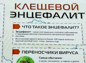 Активность клещей в Саяногорске постепенно спадает