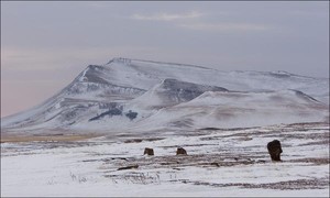 В Хакасию больше всего туристов едут из Германии