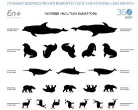 У жителей Абакана проверят «экологическое зрение» в рамках Всероссийского экомарафона «360 минут»