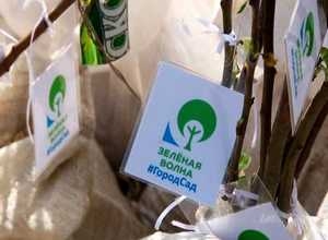 Яблоневый Саяногорск