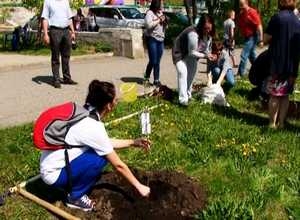 У Саяногорска есть возможность превратиться во фруктовый сад