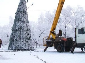 В Саяногорске ставят елки