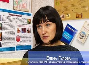 Карантин по бешенству теперь введен по всему Саяногорску