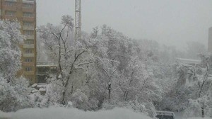 Весенние текстуры не могут прогрузиться в Хакасии