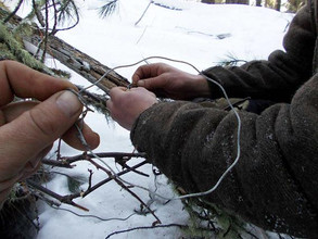 В Хакасии осудили браконьера: 200 часов работ и 75 тысяч рублей штрафа