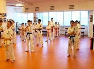 Саяногорские каратисты завоевали 17 наград на открытом первенстве в Дивногорске