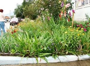 В Саяногорске выберут лучший двор и клумбу