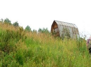 Дачные объединения Саяногорска получат господдержку