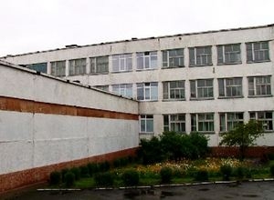От клещей в Саяногорске обработаны десятки объектов и территорий