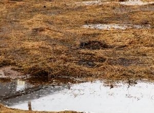 В Саяногорске за выходные сгорел трактор с сеном и пострадала квартира в 9 микрорайоне