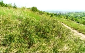 Дачные участки Саяногорска продолжают обретать своих законных хозяев