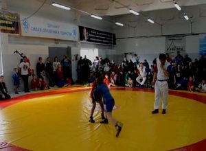 Саяногорцы завоевали 4 награды по самбо