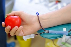 В Хакасии становится все больше почетных доноров России