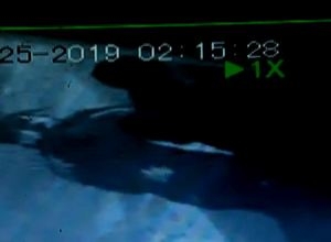 Полиция Саяногорска просит помощи в розыске серийного вора