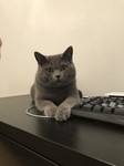 Саяногорск Инфо - Присоединённое изображение
