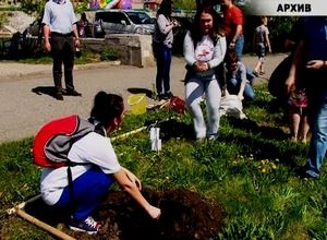 По Саяногорску вновь прокатиться «Зеленая волна»