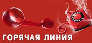 «Горячая линия» Роспотребнадзора по качеству рыбы и мяса будет работать до 25 сентября