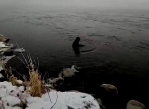 Госавтоинспекторы Саяногорска вытащили из Енисея пожилую женщину
