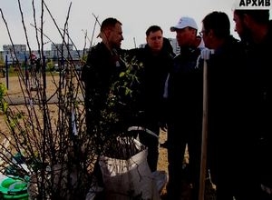 «Зеленая волна» Саяногорска ждет новых участников